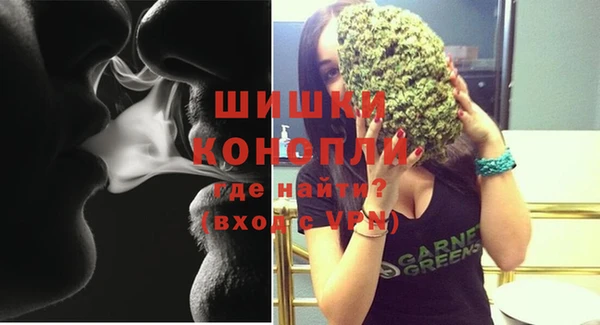 mdpv Каменка