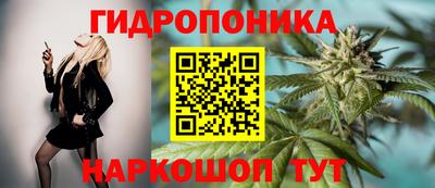соль курить ск Пушкино