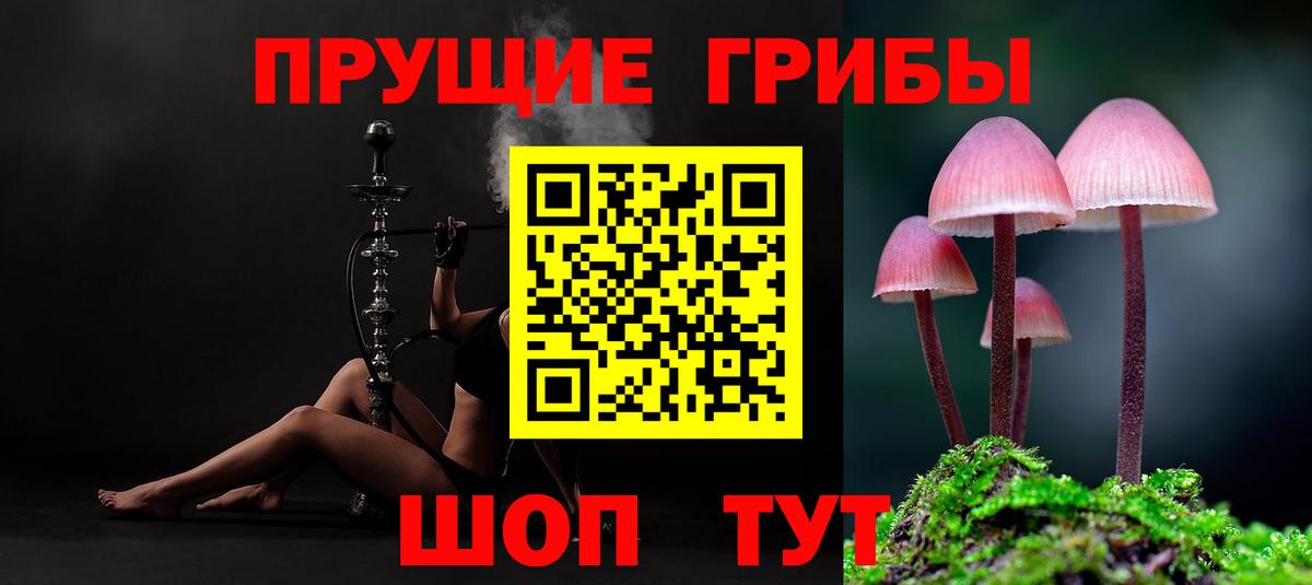 Псилоцибиновые грибы прущие грибы Арзамас